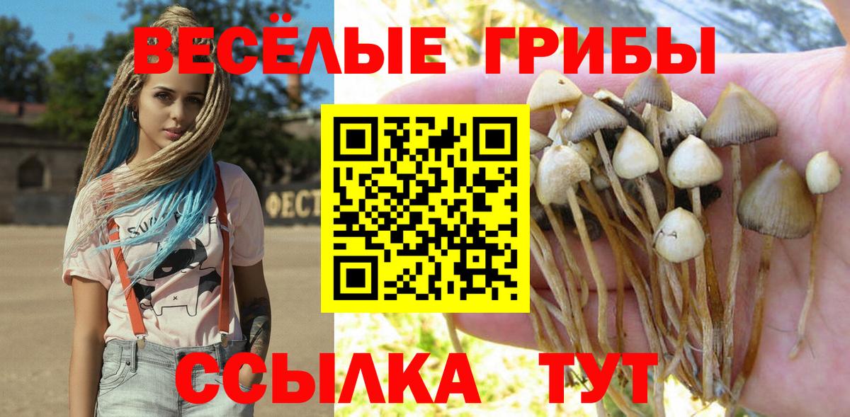 Дзержинский  Псилоцибиновые грибы Psilocybe  Вход с VPN 