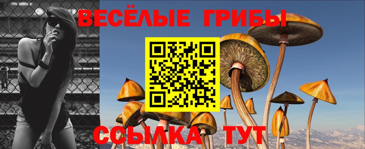 Галлюциногенные грибы Psilocybine cubensis Дзержинский